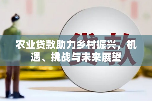 北市农业贷款助力乡村振兴，机遇、挑战与未来展望