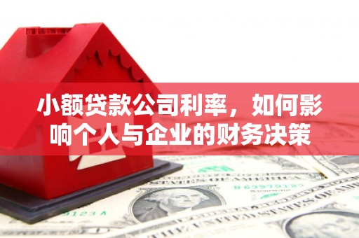 北市小额贷款公司利率，如何影响个人与企业的财务决策