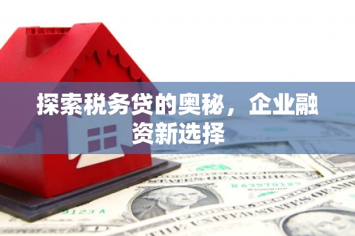 北市探索税务贷的奥秘，企业融资新选择