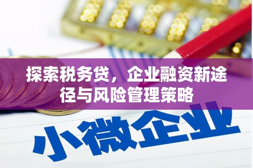 北市探索税务贷，企业融资新途径与风险管理策略