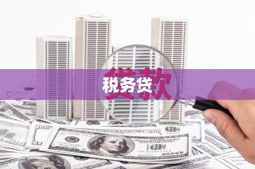 北市税务贷