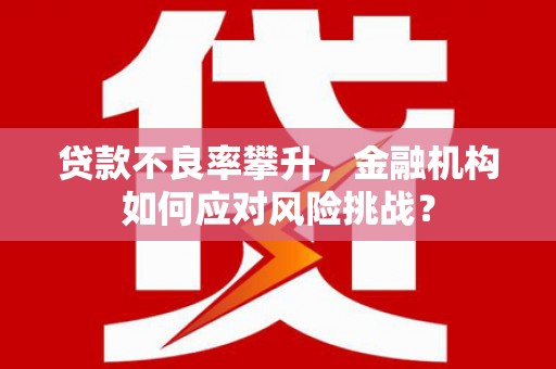 北市贷款不良率攀升，金融机构如何应对风险挑战？