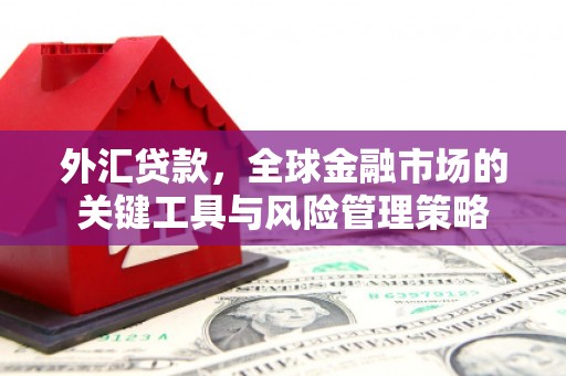 北市外汇贷款，全球金融市场的关键工具与风险管理策略