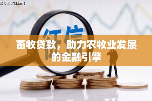 北市畜牧贷款，助力农牧业发展的金融引擎