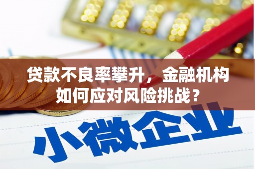 北市贷款不良率攀升，金融机构如何应对风险挑战？