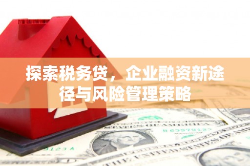 北市探索税务贷，企业融资新途径与风险管理策略