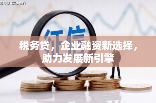 北市税务贷，企业融资新选择，助力发展新引擎