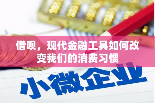 北市借呗，现代金融工具如何改变我们的消费习惯
