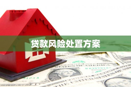 北市贷款风险处置方案