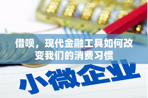北市借呗，现代金融工具如何改变我们的消费习惯