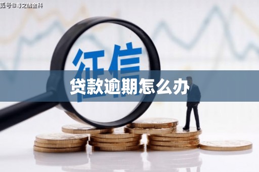 北市贷款逾期怎么办