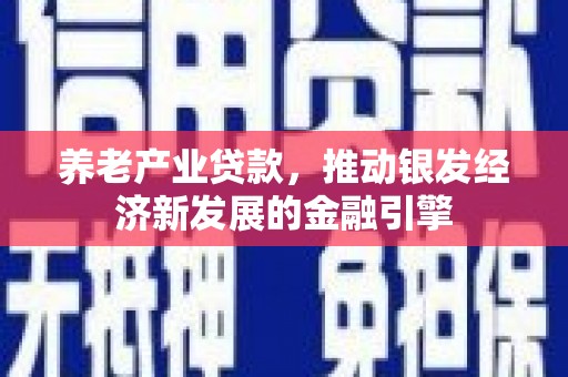 北市养老产业贷款，推动银发经济新发展的金融引擎