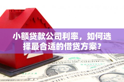 北市小额贷款公司利率，如何选择最合适的借贷方案？