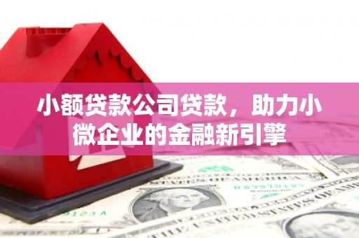 北市小额贷款公司贷款，助力小微企业的金融新引擎