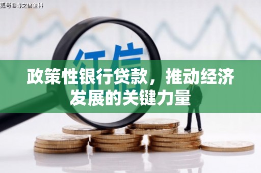 北市政策性银行贷款，推动经济发展的关键力量