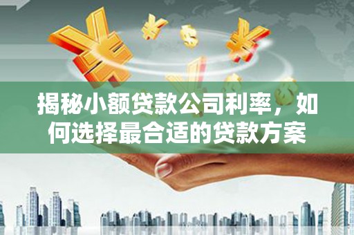 北市揭秘小额贷款公司利率，如何选择最合适的贷款方案