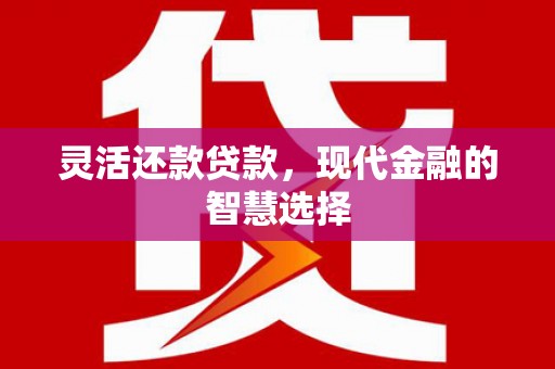 北市灵活还款贷款，现代金融的智慧选择