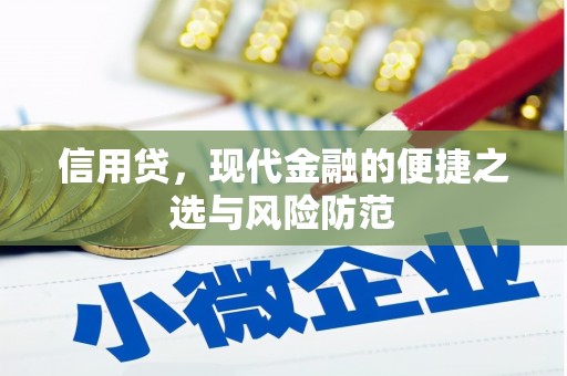 北市信用贷，现代金融的便捷之选与风险防范
