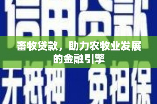 北市畜牧贷款，助力农牧业发展的金融引擎