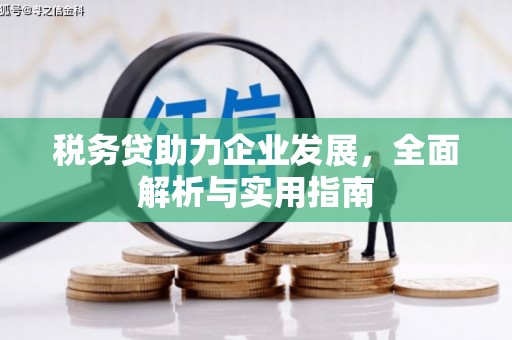 北市税务贷助力企业发展，全面解析与实用指南