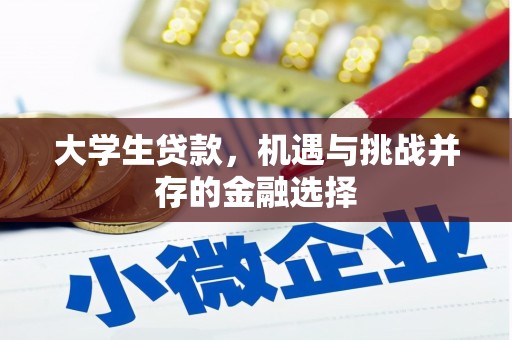 北市大学生贷款，机遇与挑战并存的金融选择