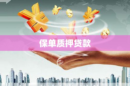 北市保单质押贷款
