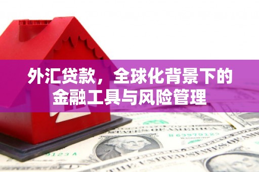 北市外汇贷款，全球化背景下的金融工具与风险管理