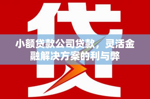 北市小额贷款公司贷款，灵活金融解决方案的利与弊