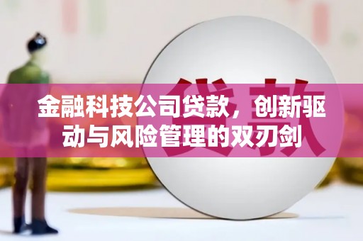北市金融科技公司贷款，创新驱动与风险管理的双刃剑
